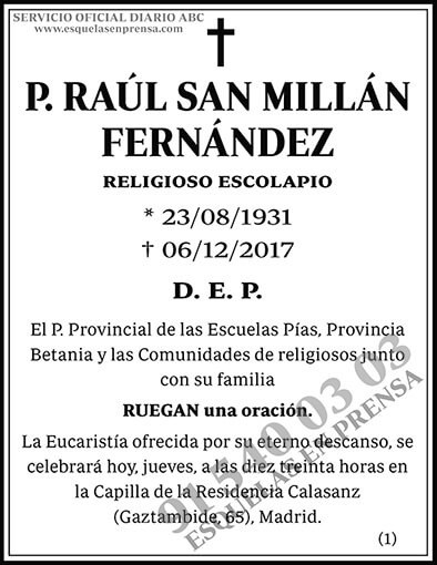 Raúl San Millán Fernández